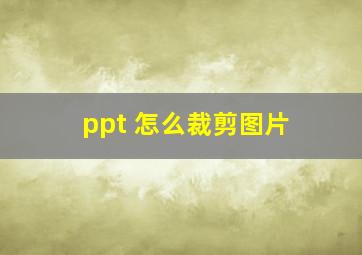 ppt 怎么裁剪图片